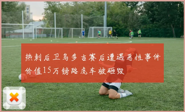 热刺后卫乌多吉赛后遭遇恶性事件价值15万镑路虎车被砸毁