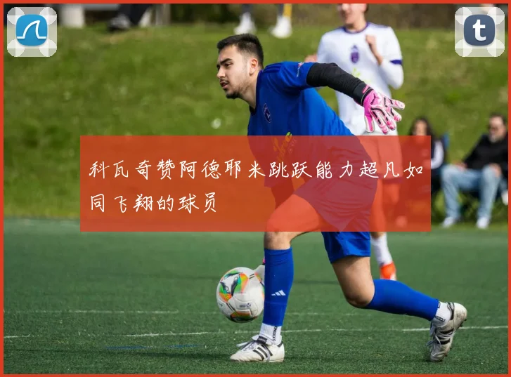 科瓦奇赞阿德耶米跳跃能力超凡如同飞翔的球员