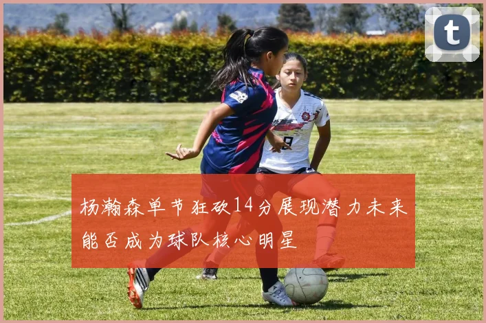 杨瀚森单节狂砍14分展现潜力未来能否成为球队核心明星