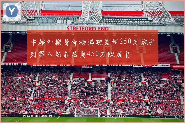 中超外援身价榜揭晓盖伊250万欧并列第八热菲尼奥450万欧居首