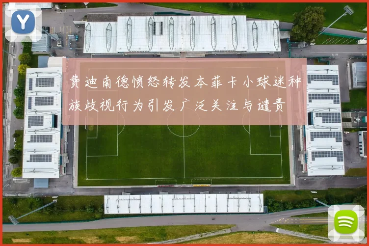 费迪南德愤怒转发本菲卡小球迷种族歧视行为引发广泛关注与谴责