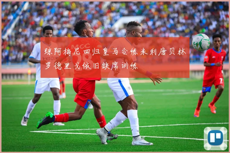 琼阿梅尼回归皇马合练米利唐贝林罗德里戈依旧缺席训练