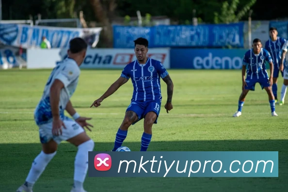 MK体育平台生态图